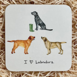 At Home in the Country Coasters