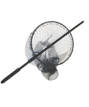Dennett Gye Net
