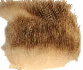 A Jensen American Opossum Fur
