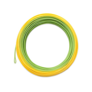 Airflo Forge Floater Fly Line